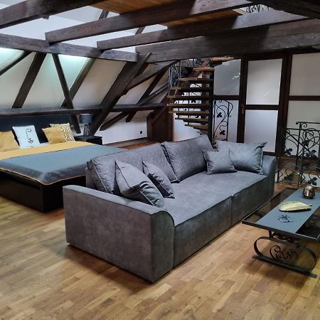 Galerie Vila Lucia 5 -Loft Apartman Plzeň Kültér fotó